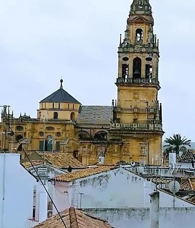 Amplio Apartamento Cerca De La Mezquita Apartment Cordoba