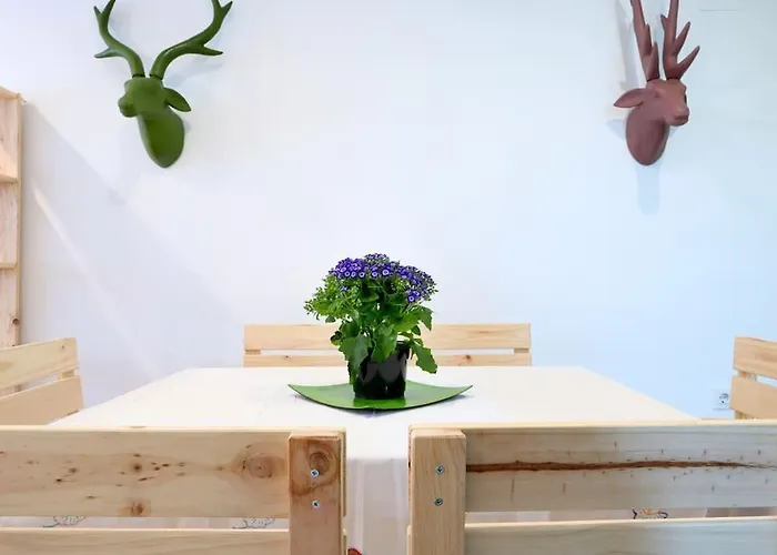 Bonito * 科爾多瓦